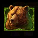 Wild Bison BΣύμβολο αρκούδας