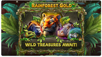 Rainforest Gold Μπόνους