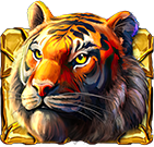Rainforest Gold Σύμβολο τίγρης