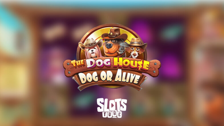 The Dog House - Dog or Alive Δωρεάν επίδειξη