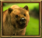 Jungle Spirit Megaways Bear Symbol