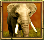 Jungle Spirit Megaways Elephant Symbol