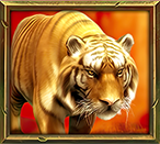 Jungle Spirit Megaways Tiger Symbol