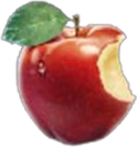 St Louis 1904 Σύμβολο μήλου